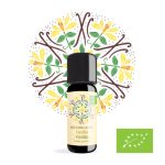 💛VANILIJA & CIMET🤎 ritual topline - slika 8