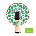 💛VANILIJA & CIMET🤎 ritual topline - slika 14