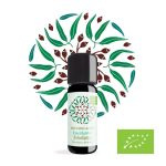 Ekološko eterično olje Evkaliptus