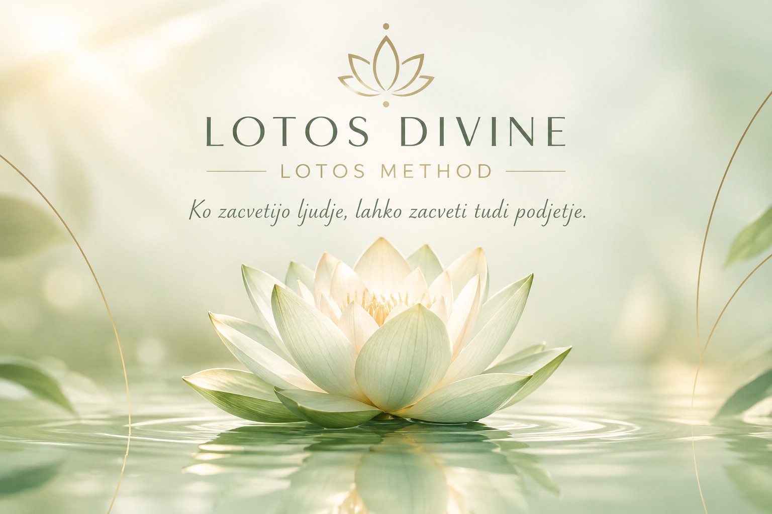 Lotus Divine Wellness Reflection